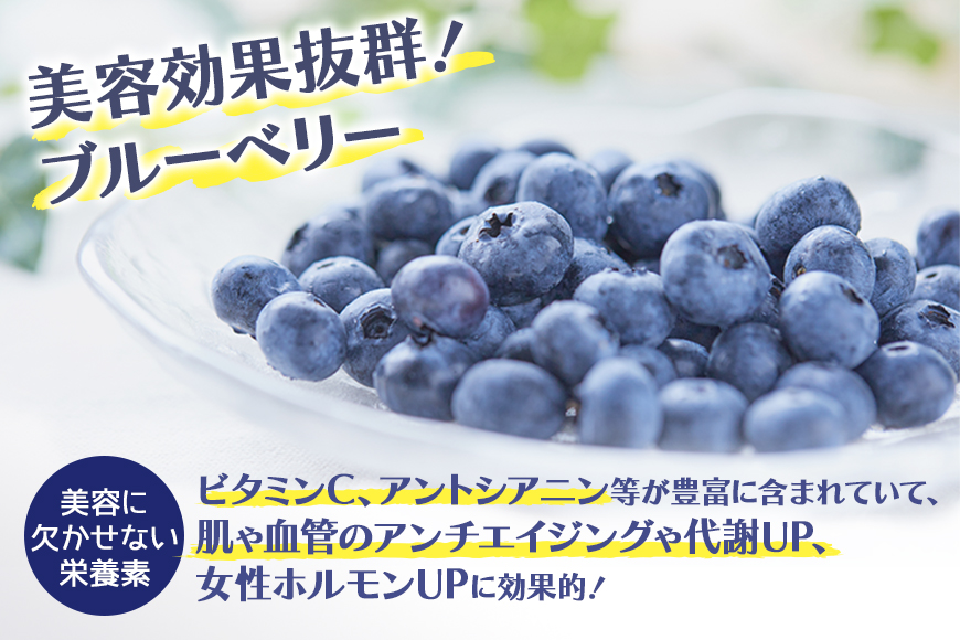 果汁35％ブルーベリー飲料24本 9-O