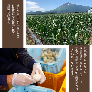 【2025年8月中旬より順次発送開始予定】 オーガニックにんにく 八幡平バイオレット 1kg 混合サイズ（L~3L） ／ にんにく ニンニク ガーリック 大蒜 オーガニック 岩手県産 八幡平市産 産地