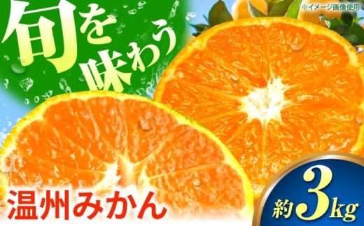 みかん 温州みかん 3kg 極早生 早生 中生 晩生 【池田農園】  1万円以下 10000円以下 [ZEX005]