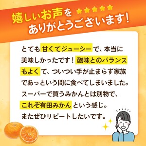こだわりの有田みかん 約4kg＋250g(傷み補償分)【ご家庭用】【2026年1月発送予約】 【CE-nuk148-01】