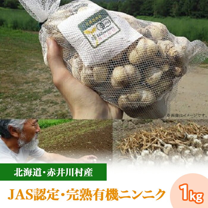 【ふるさと納税】北海道産 1.（1kg）たきもとさんちの白ニンニク（完熟有機ニンニク）：8～9月