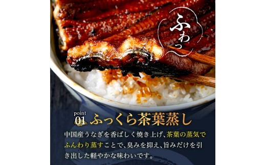 ＜訳あり・規格外＞ うなぎ 蒲焼 カット ＜約10人前＞(1P約100g・計約1kg) うなぎ 鰻 ウナギ 蒲焼 惣菜 小分け 個包装 簡易包装 レトルト 湯煎 レンジ 温めるだけ 簡単調理 ひつまぶ