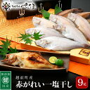 【ふるさと納税】干物 セット 赤がれい 一塩干し 大サイズ （1尾 × 9パック入り）1尾約170g【福井県産 赤カレイ 小分け 個包装 詰め合わせ 保存料・着色料 無添加】 [e04-a090]