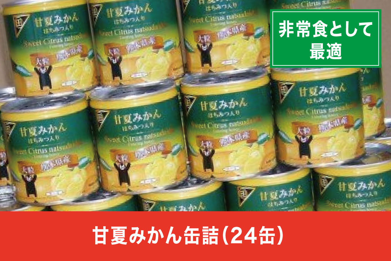 B83-28 甘夏みかん缶詰（24缶入）