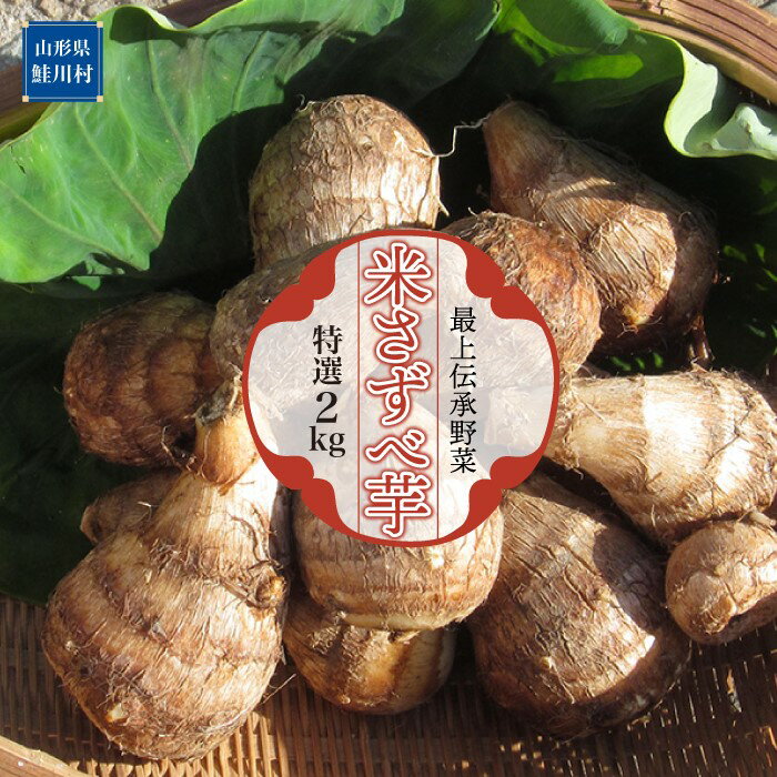 【ふるさと納税】 最上伝承野菜　米さずべ芋（特選）2kg