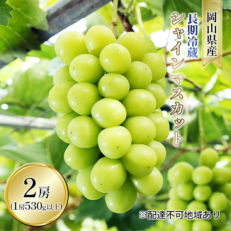 【ふるさと納税】ぶどう 2026年 先行予約 長期冷蔵 シャイン マスカット 2房入り（1房 530g以上） ブドウ 葡萄 岡山県産 国産 フルーツ 果物 ギフト 　お届け：2026年11月下旬～2026年12月上旬