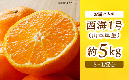 みかんドーム特選　西海1号（山本早生）約5kg＜道の駅さいかい みかんドーム＞ [CAI038]