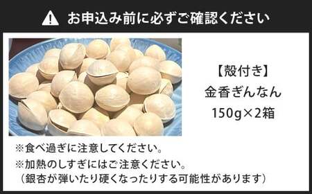 金香ぎんなん（殻付き）150g×2箱 合計300g 銀杏 ぎんなん 実 おつまみ おやつ