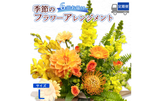 【6回定期便】 季節のフラワーアレンジメント （L） / 生花 フラワーアレンジメント 定期便 綾部市 / 有限会社トリオ［BSDZ059］