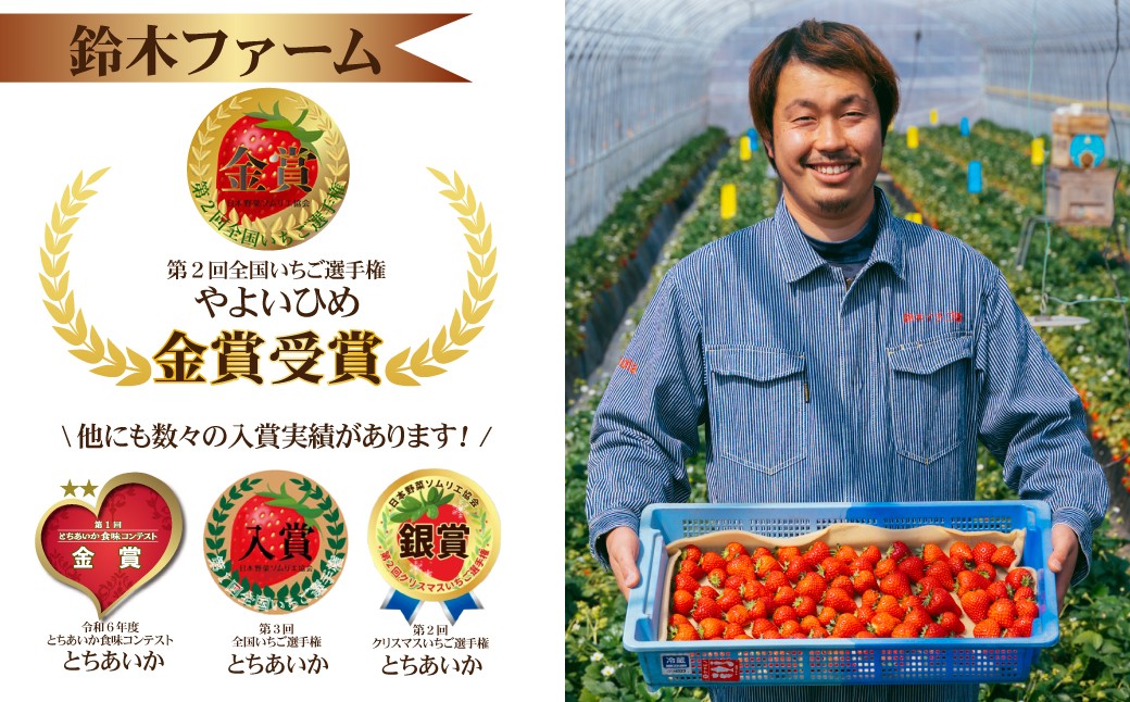 いちご イチゴ 苺 とちおとめ 第1回いちご選手権金賞 ブランドいちご ストロベリー 完熟 甘い あまい 果物