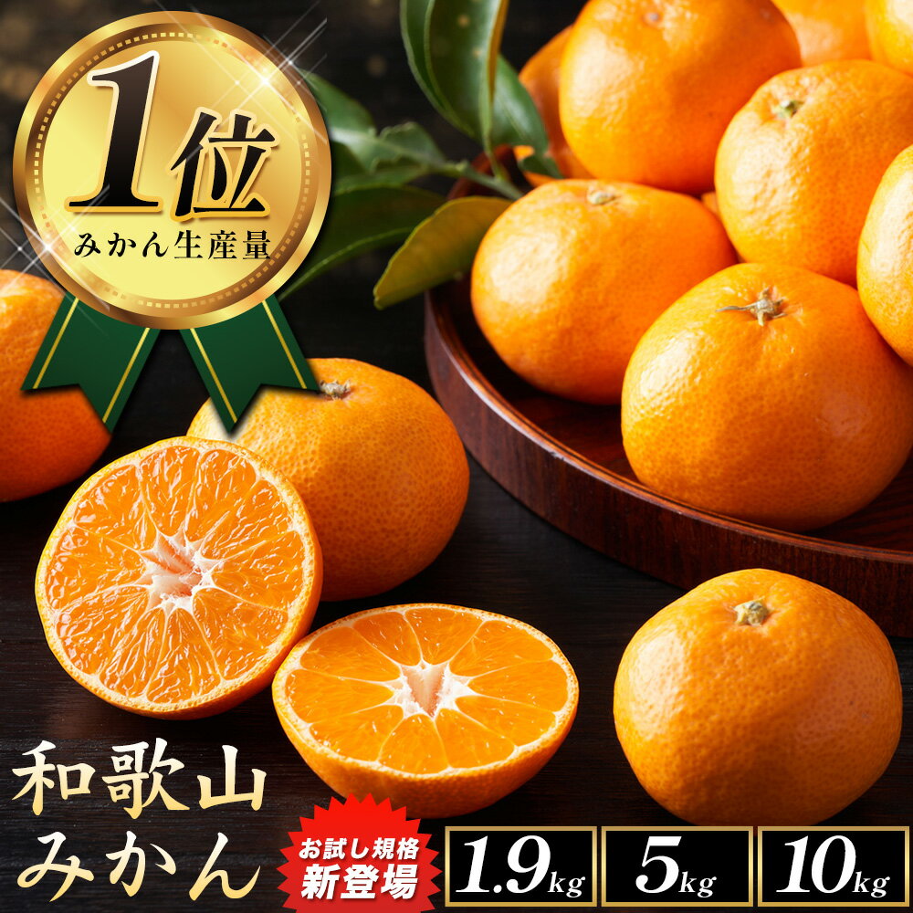 【ふるさと納税】みかん王国和歌山よりお届け サイズ不選別 ご家庭用 和歌山みかん 選べる 内容量 約1.9kg 約5kg 約10kg 和歌山県産《2026年11月中旬-2027年1月中旬頃出荷》たっぷり ご家庭用 2L〜S みかん 旬 蜜柑 ミカン 柑橘 果物 フルーツ 和歌山県 紀の川市