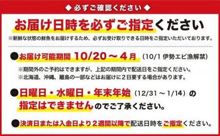 活伊勢エビ 約1kgセット （２〜４尾）《10月12日～4月期間限定出荷：先行予約も可（到着日時指定必須商品）》　HA-56