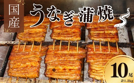 【安井家】国産鰻蒲焼　約120g×10パック