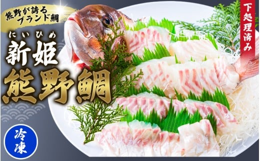 <テレビで紹介されました> 配送日指定可 新姫 熊野鯛 下処理済み 一匹 【冷凍】 鯛 タイ 刺身 お刺身 さしみ 真空 海鮮 魚介 鮮魚 養殖 寿司 お寿司 塩釜焼き 塩焼き しゃぶしゃぶ 鯛しゃぶ