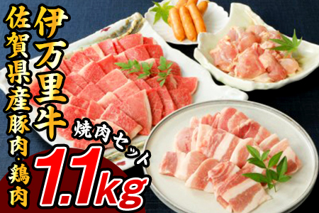 バラエティ美味 焼肉セット 牛肉 豚肉 鶏肉 1.1kg 006-J1852
