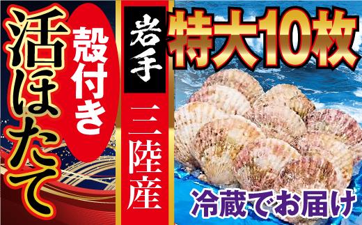 
【 定期便 6回 】朝獲れ 特大『 活ホタテ 』セット ( 特大 10枚 ) 生食用 殻付き｜三陸 新鮮 大粒 活 ほたて 大粒ホタテ 厳選 三陸産 海鮮 大玉 肉厚 甘い 帆立 刺身 冷蔵 人気 魚介 魚介類 貝 貝類 岩手県大槌町
