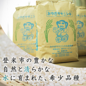 ≪令和7年産≫ 登米市産 ササニシキ 10kg (5kg×2袋) お米 おこめ 米 コメ 白米 ご飯 ごはん おにぎり お弁当【有限会社PFTサービス】tm092
