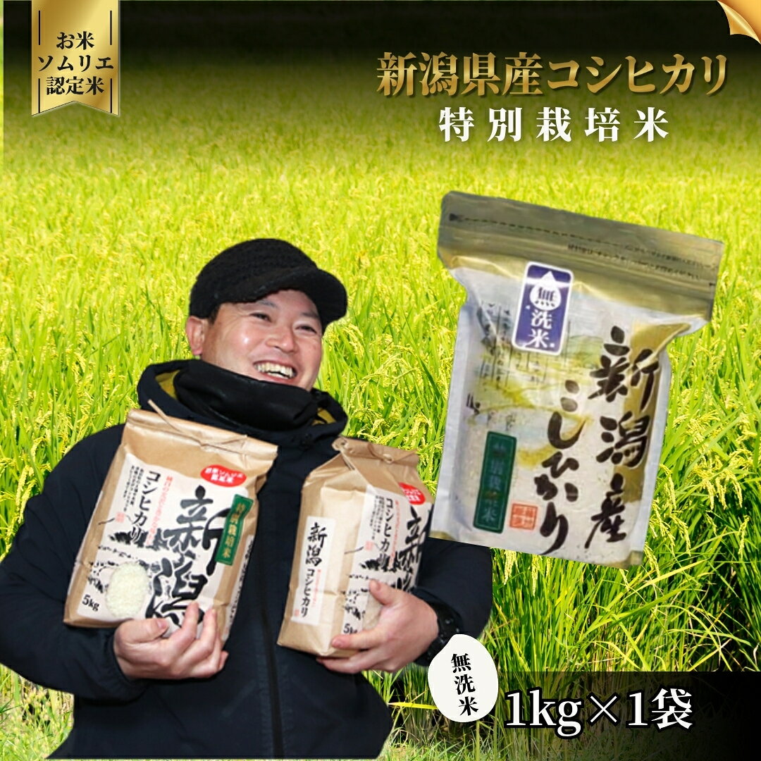【ふるさと納税】【先行予約】令和8年産 【お米ソムリエのお米】無洗米 コシヒカリ 1kg お米ソムリエのお米 | 無洗米 コシヒカリ こしひかり お米 おこめ コメ こめ 新潟県 五泉市 エバーグリーン農場