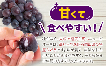 【2026年先行予約】ご家庭用 岡山県産 ニューピオーネ 約1.2kg 2-3房 晴れの国 おかやま館(つむぐ株式会社)《2026年8月下旬-10月上旬頃出荷》岡山県 浅口市 マスカット ぶどう 葡萄