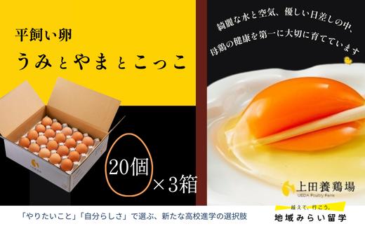 
            【定期便】平飼い卵「うみとやまとこっこ」20個×3回 計60個
          