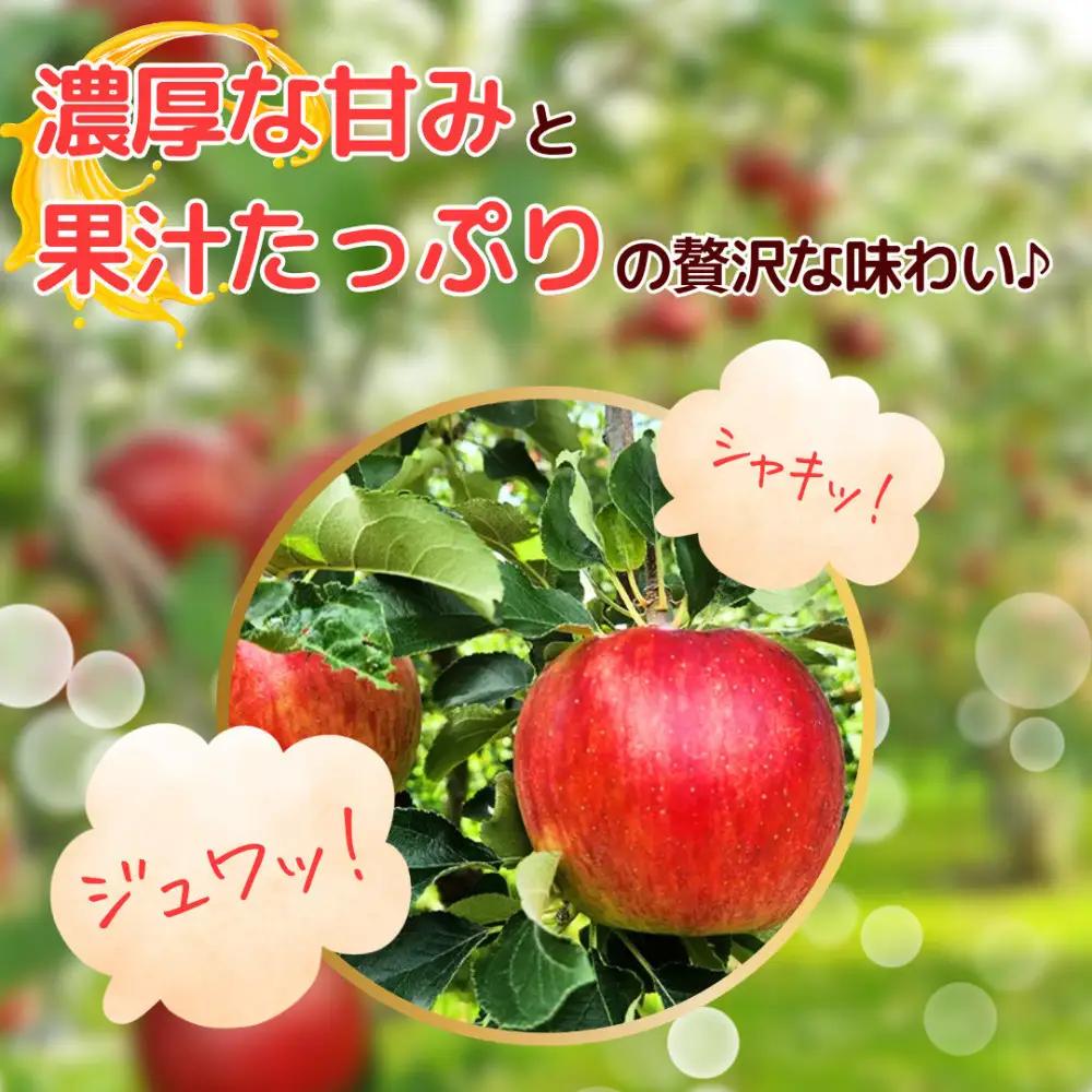 【10月中旬発送 先行予約】樹上熟成　シナノスイート 5kg | りんご シナノスイート りんご