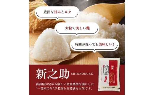 【令和8年産 先行予約】 新之助 無洗米 新潟県 上越産 20kg (5kg×4) 12か月 定期便 しんのすけ 五つ星お米マイスターのいるお店 お米 精米 米 ご飯 大黒屋商店