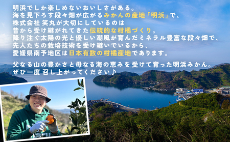 【先行予約】＜甘平 家庭用 約3kg＞ ご家庭用 かんぺい 高級 柑橘 ブランド みかん 蜜柑 訳あり 果物 くだもの フルーツ ミカン 愛媛 国産 ジューシー 明浜 特産品 笑丸 愛媛県 西予市【常