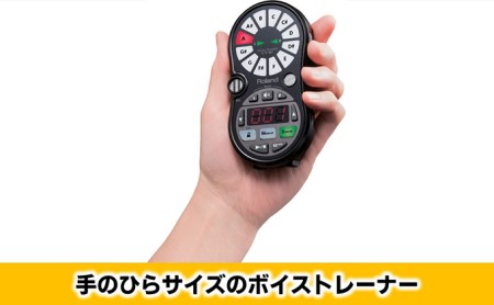 【Roland】ボーカルトレーナー/VT-12-BK【配送不可：離島】