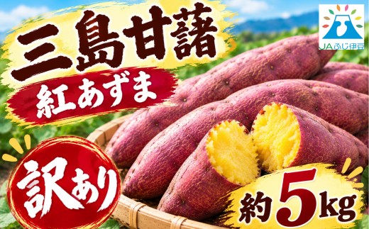 【予約受付中】 訳あり 三島甘藷 約5kg 紅あずま さつまいも 甘藷 芋 野菜 農産物 新鮮 産地直送 みしまるかん JA  国産 箱根西麓三島野菜 静岡県 三島市