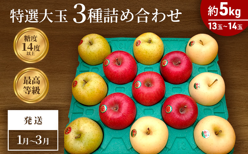 1～3月発送 最高等級「特選大玉」3種詰め合わせ 約5kg（サンふじ・金星・王林）糖度14度以上【弘前市産・青森りんご】