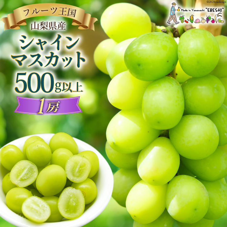 【2025年発送】ぶどう 山梨県産 シャインマスカット500g以上（1房） [株式会社えべし 山梨県 中央市 21470865] フルーツ 果物 くだもの ブドウ シャイン マスカット 葡萄 期間限定 季節限定