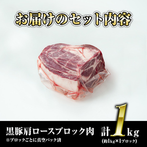 isa659 鹿児島県産豚肉！黒豚肩ロースブロック肉(計1kg・約1kg×1ブロック) ふるさと納税 伊佐市 特産品 国産 鹿児島 九州産 豚 豚肉 肩 ロース チャーシュー 焼豚 BBQ バーベキュ