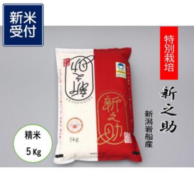 ふるさと納税 村上市 【新米受付・令和8年産米】食味鑑定士いたがき謹製　岩船産特別栽培　新之助白米5kg　1039009N | 