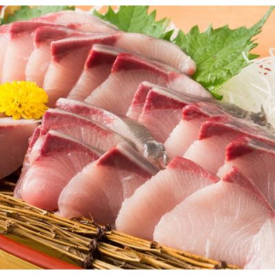 ふるさと納税 多度津町 オリーブハマチ1本まるごと(半身カット)【先行受付:令和8年10月中旬頃から出荷】【C-312】