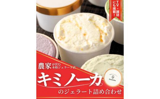 【キミノーカ選りすぐり】ジェラート12個セット  【3月発送】 / ジェラート アイス アイスクリーム キミノーカ スイーツ 大人気 牛乳 ギフト 夏 デザート 子供 バラエティセット おやつ ご褒美