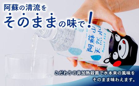 熊本 阿蘇山天然水 500ml × 24本 2ケース（計48本） 天然水 水 ミネラルウォーター 保存 2年 【丸富産業株式会社】[AYDB003]