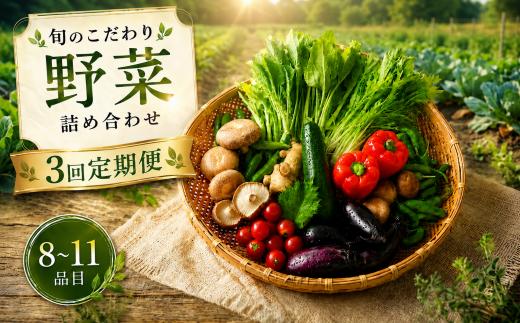 【3回定期便】 こだわりの新鮮野菜セット 8~11品目 | 野菜セット 新鮮 野菜 季節の野菜 おすすめ 高知県 南国市