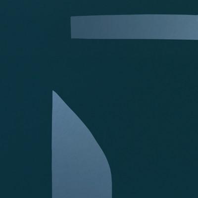 ふるさと納税 綾部市 ＼注目の和紙アート/ 【絵画】朽ちる藍　額装サイズ300mmx600mm　阿波紙 |  | 02