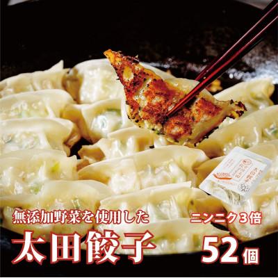 ふるさと納税 常陸太田市 無添加野菜を使用したなごみ家 冷凍生餃子 52個(にんにく3倍 13個入り×4パック)　