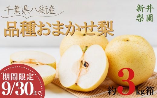 
＼品種おまかせ／ 梨 3kg 豊水 新高 あきづき 新興 にっこり 新井梨園 9月30日まで 申込受付中 ！ 先行予約 なし 豊水梨 新高梨 ナシ 千葉 季節 フルーツ 果物 くだもの 旬 千葉県 特選 ギフト 食べ比べ 糖度 和梨 八街
