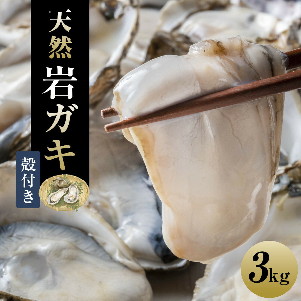 【ふるさと納税】【先行予約】天然岩ガキ 3kg（殻付き）岩がき 牡蠣 ※2026年6月～8月上旬頃に順次発送予定 ※北海道・沖縄・離島への配送不可 | 牡蠣 カキ 岩ガキ 天然 栄養 カキフライ レモン ポン酢 生食 海鮮 鳥取県 北栄町 おすすめ 人気