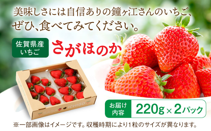 【先行予約】さがほのか 220g×2パック / いちご イチゴ 苺 果物 フルーツ / 佐賀県 / 鐘ヶ江農園 [41ASBK005]