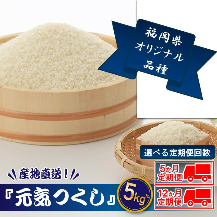 【ふるさと納税】【定期便・選べる5ヶ月・12ヶ月】特Aも獲得した自慢のお米『元気つくし』5kg【元気つくし】