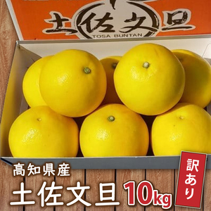 訳あり 文旦 10kg 家庭用 早期予約 土佐文旦 みかん 柑橘 フルーツ 2025年 2月より発送 高知県 須崎市 文旦 早期予約 柑橘 文旦 早期予約 柑橘 文旦 早期予約 柑橘 文旦 早期予約 柑橘 文旦 早期予約 柑橘 文旦 早期予約 柑橘 文旦 早期予約 柑橘 文旦 早期予約 柑橘 文旦 早期予約 柑橘 文旦 早期予約 柑橘 文旦 早期予約 柑橘 文旦 早期予約 柑橘 文旦 早期予約 柑橘 文旦 早期予約 柑橘 文旦 早期予約 柑橘 文旦 早期予約 柑橘 文旦 早期予約 柑橘 文旦 早期予約 柑橘