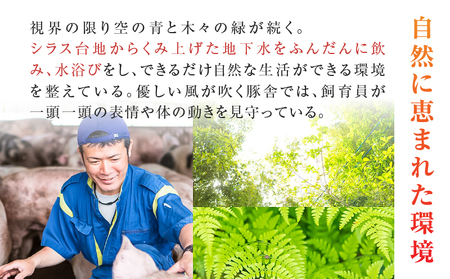 鹿児島うんまか 豚 生餃子 9パック（ 餃子 108個入り・ タレ付 ） K005-003_02 肉 豚肉 惣菜 総菜 冷凍