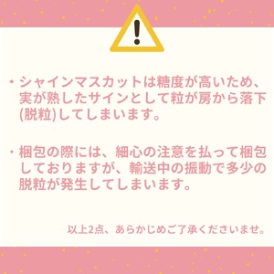 シャインマスカット 1.3kg 2房 － 3房 荒井農園 種なし | 34M