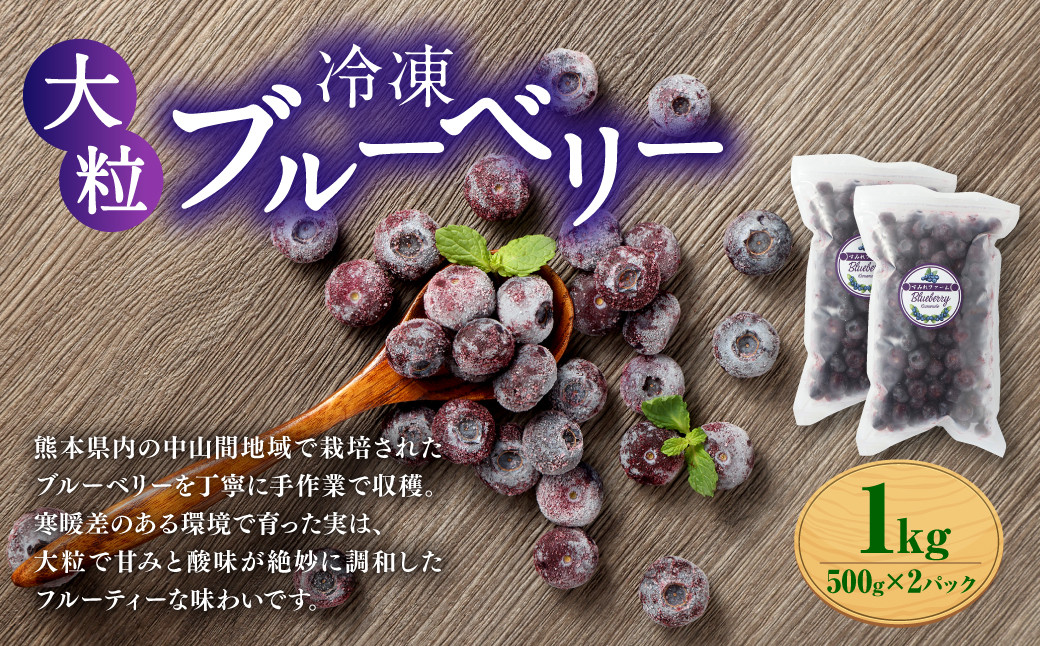 
            熊本県産 大粒 冷凍ブルーベリー 1kg（500g×2パック） フルーツ 果物 くだもの 冷凍 ブルーベリー 国産
          