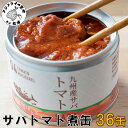 【ふるさと納税】缶詰工場直送　伝統のさば缶「旬ほとぎ」トマト煮36缶【D4-008】さば サバ 鯖 缶詰 サバ缶 さば缶 鯖缶 トマト煮 ご飯のお供 保存食