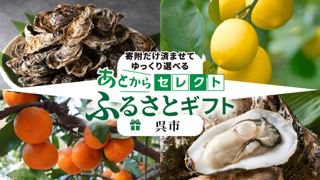 あとからセレクト【ふるさとギフト】寄附200,000円　広島県呉市