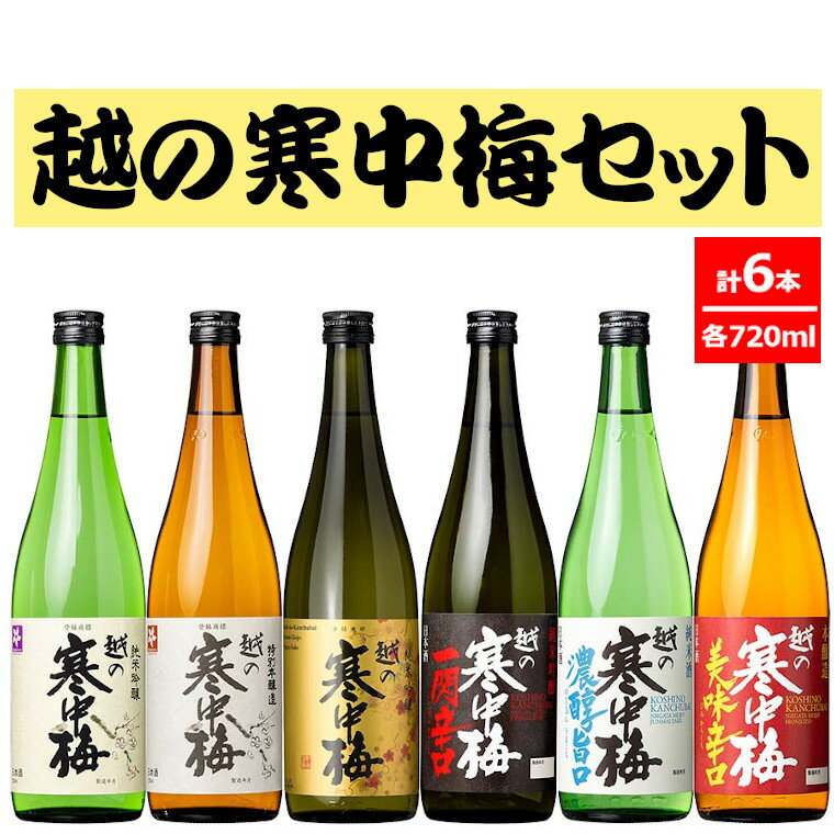 【ふるさと納税】日本酒 越の寒中梅 6種類飲み比べセット 720ml×6本 淡麗辛口 新潟銘醸 【0002-0085-01】